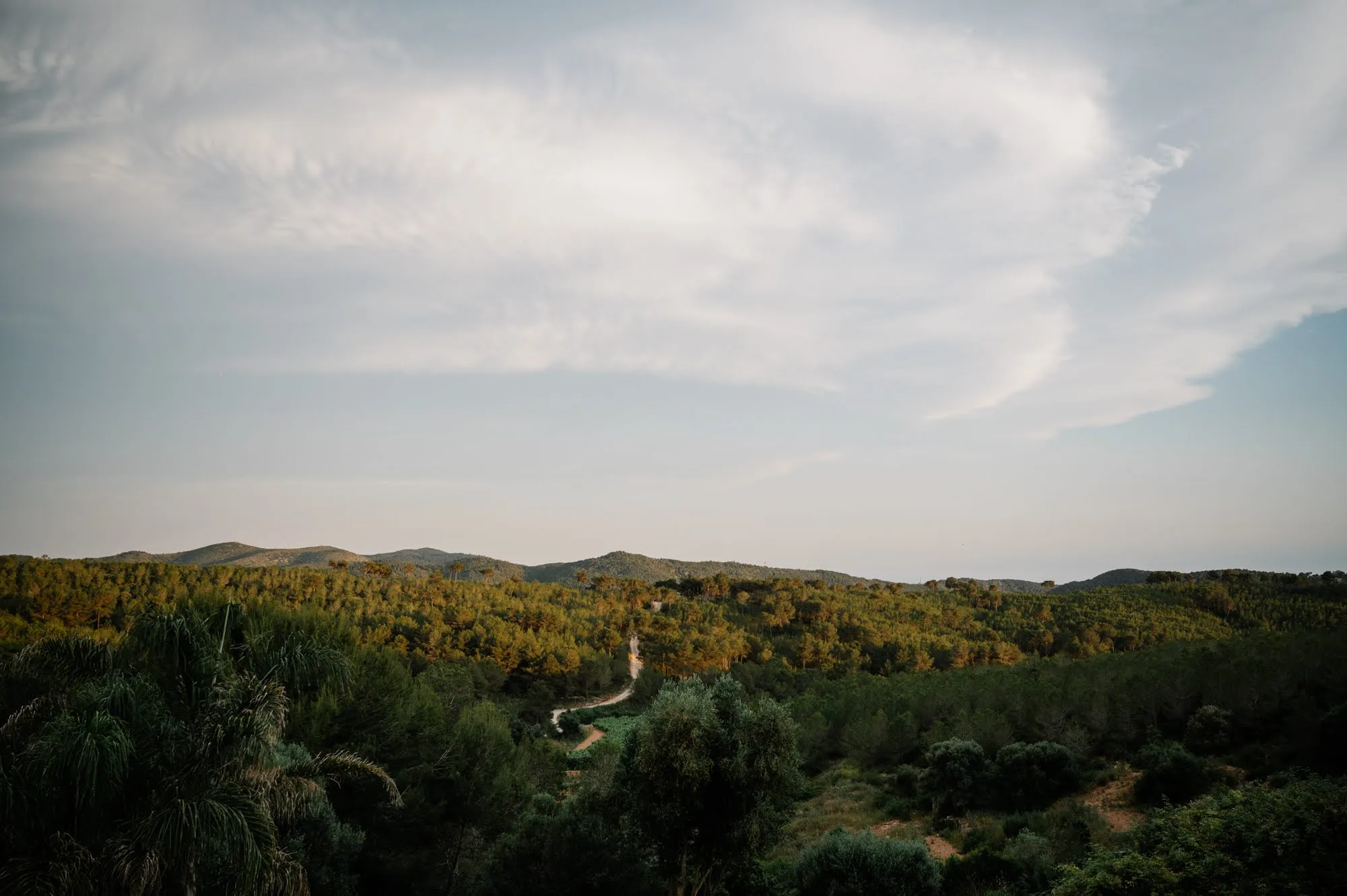 Carretera sinuosa pels turons boscosos del Parc Natural del Garraf
